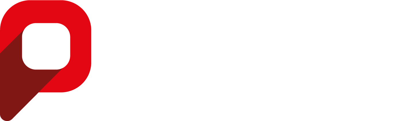 Pin Lead
